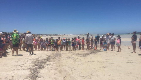 Perlubie Beach Sports Day - Tourism Noosa 1