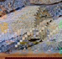 Peter Teakle Wines - Tourism Noosa