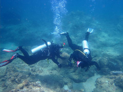 Recovery Of The Great Barrier Reef - Tourism Noosa 1