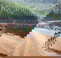 SEVEN - Australia's Premier Gravel Race - Tourism Noosa