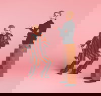 The Comedy of Errors - Tourism Noosa