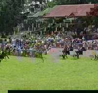 Tumut Boxing Day Races - Tourism Noosa