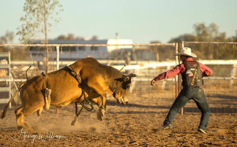 Walgett Charity Bushman's Carnival Rodeo And Campdraft - Tourism Noosa 0
