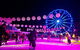 Winterland Festival - thumb 5