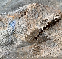 2020 Katherine Bird Festival - Tourism Noosa