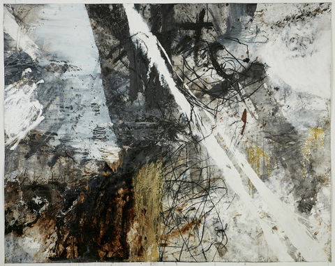 An Unending Shadow - Tourism Noosa 1