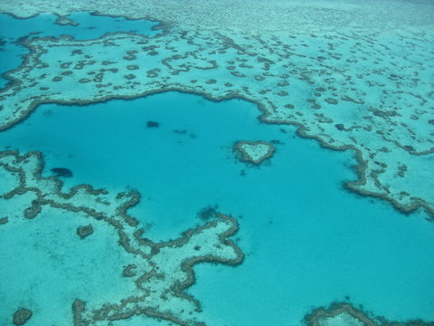 Australian Superyacht Rendezvous 2020 - Great Barrier Reef Edition - Tourism Noosa 2