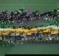 Bledisloe Cup Double-Header Qantas Wallabies v All Blacks  Buildcorp Wallaroos v Black Ferns - Tourism Noosa