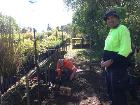 Conservation Volunteers Australia Townsville - Ocean View Nursery - Tourism Noosa 1