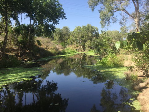 Conservation Volunteers Australia Townsville - Creekwatch - Tourism Noosa 0