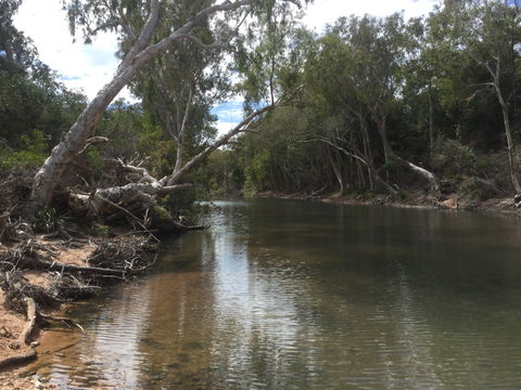 Conservation Volunteers Australia Townsville - Creekwatch - Tourism Noosa 2