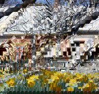 Daffodils at Rydal - Tourism Noosa