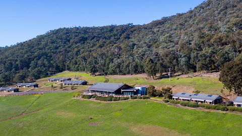 Father's Day Lunch At Holmesglen At Eildon - Tourism Noosa 2