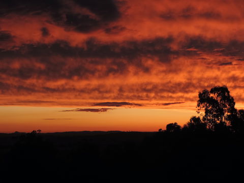 Father's Day At Cottontail Wines - Tourism Noosa 0
