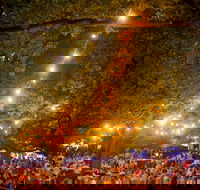 Festivale - Tourism Noosa