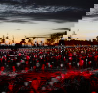Field of Light Uluru - Tourism Noosa