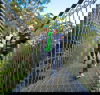 Get Back to Nature these July School Holidays - Tourism Noosa