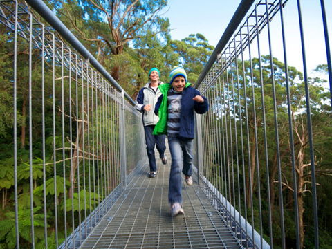 Get Back To Nature These July School Holidays! - Tourism Noosa 0