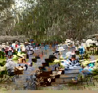 Grazing Down the Lachlan - Tourism Noosa