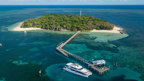 Great Adventures Green Island Ocean Swim - Tourism Noosa 0