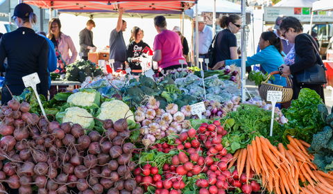 Harvest Launceston Community Farmers' Market - Tourism Noosa 2
