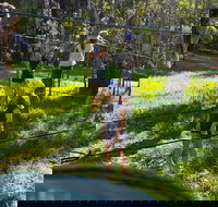 July 2020 Holidays- Forest Smores  Explore - Tourism Noosa