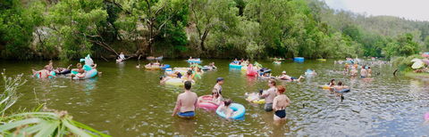 Jungle Love Festival - Tourism Noosa 1
