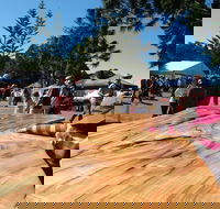 Maleny Wood Expo From Seed to Fine Furniture - Tourism Noosa