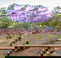 Mushroom Valley Festival - Tourism Noosa