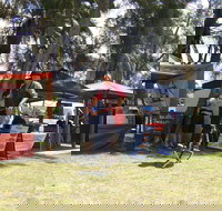 Narrabeen Lakes Festival - Tourism Noosa