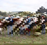 Noorat Show - Tourism Noosa