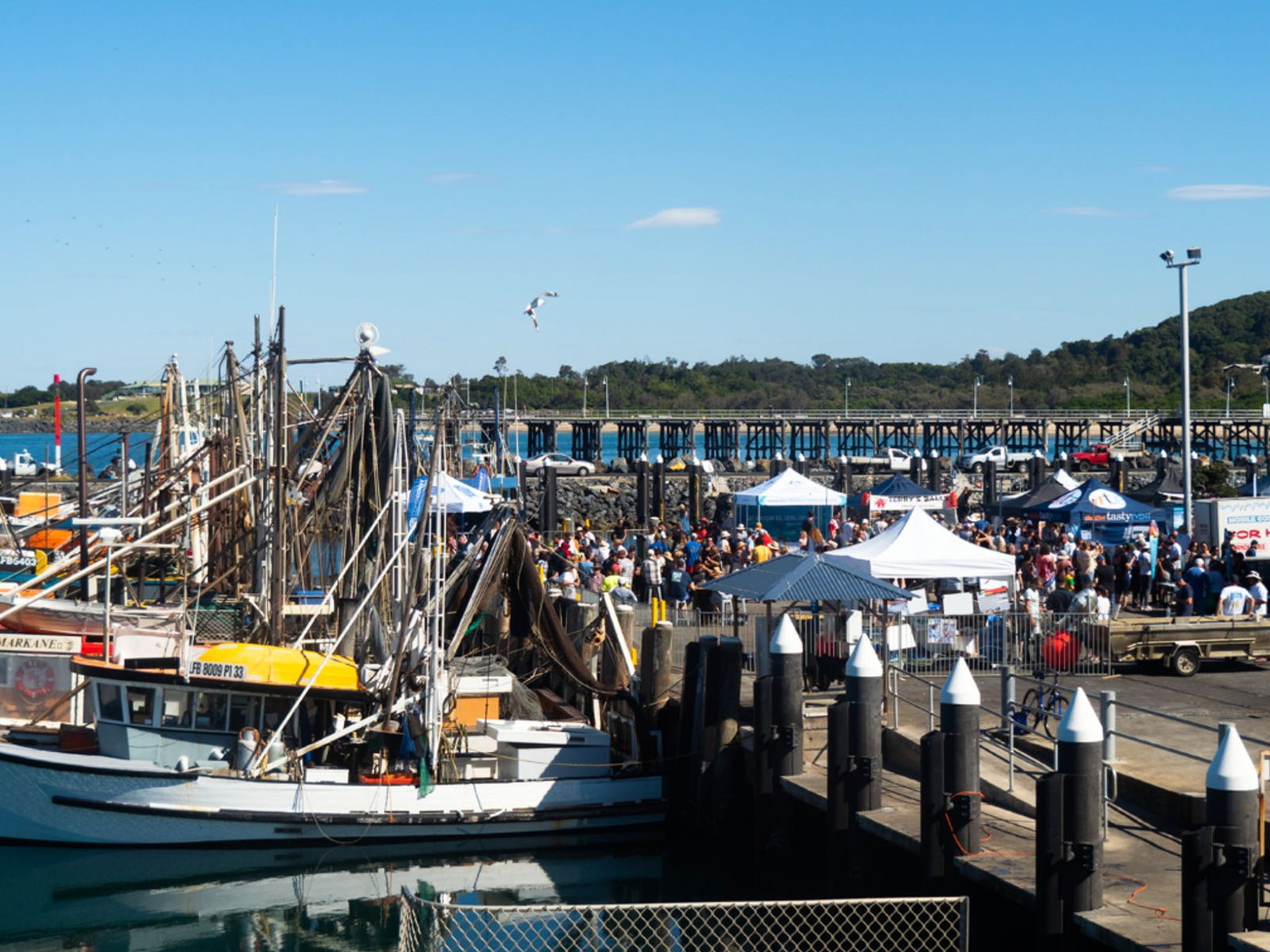 Coffs Harbour NSW Tourism Noosa