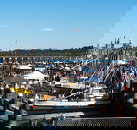 Ocean Harvest Festival - Tourism Noosa