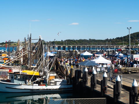 Ocean Harvest Festival - Tourism Noosa 0