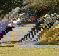 Sculpture for Clyde - Outdoor Exhibition - Tourism Noosa