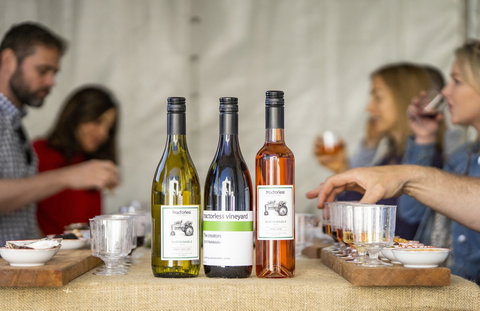 Southern Highlands Food And Wine Festival - Tourism Noosa 2