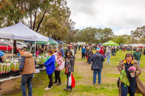 Spring Fling - Tourism Noosa 1