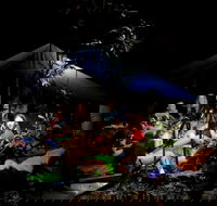 Summer  Family Nature Camp - Tourism Noosa