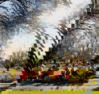 The Orange Society of Model Engineers - Miniature Train Rides - Tourism Noosa