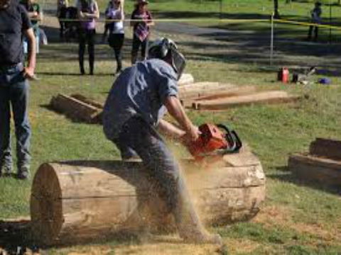 Tocal Field Days - Tourism Noosa 0