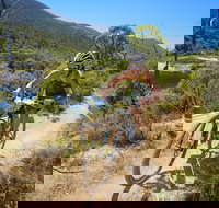 TreX Cross Triathlon Series  Snowy Mountains - Tourism Noosa