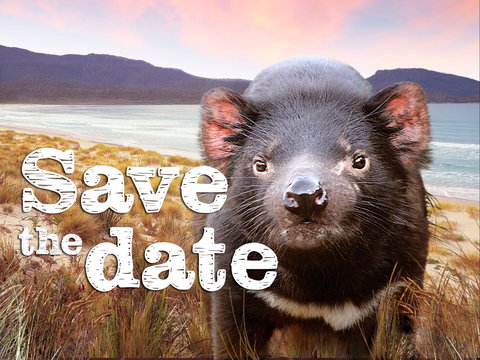 Tunbridge Country Market - Tourism Noosa 0