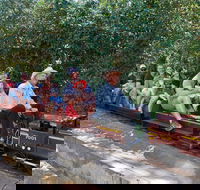 Twilight Run   Willans Hill Miniature Railway - Tourism Noosa