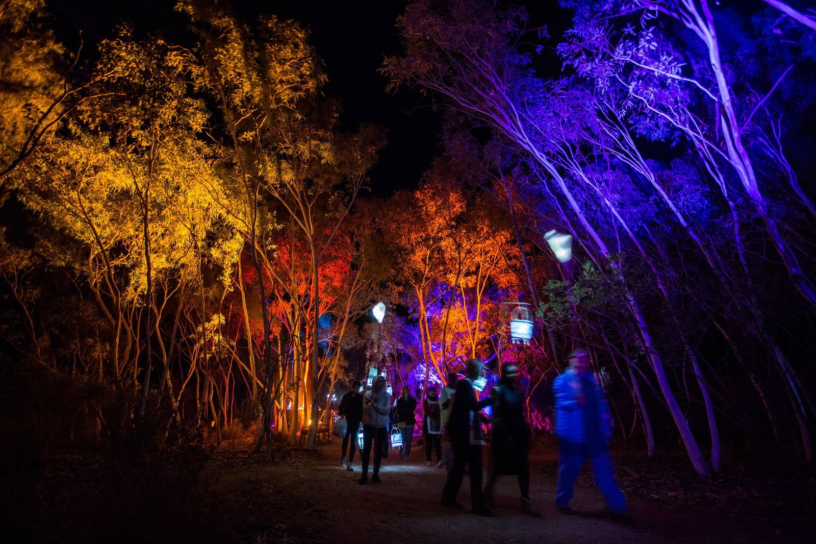 Larapinta NT Tourism Noosa