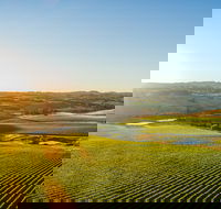 Wine and Food at Altitude - Tourism Noosa