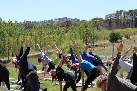 Yoga In The Vines - Tourism Noosa 0