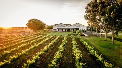 Aged Wine And Vintage Pies - Tourism Noosa 2