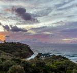 Whale Watch Ocean Beach Resort - Tourism Noosa