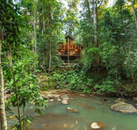 The Canopy Rainforest Treehouses and Wildlife Sanctuary - Tourism Noosa