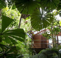 Daintree Wilderness Lodge - Tourism Noosa
